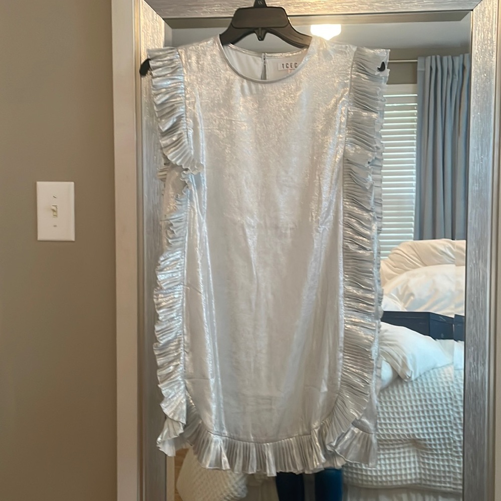 Silver TCEC dress- size small- never worn